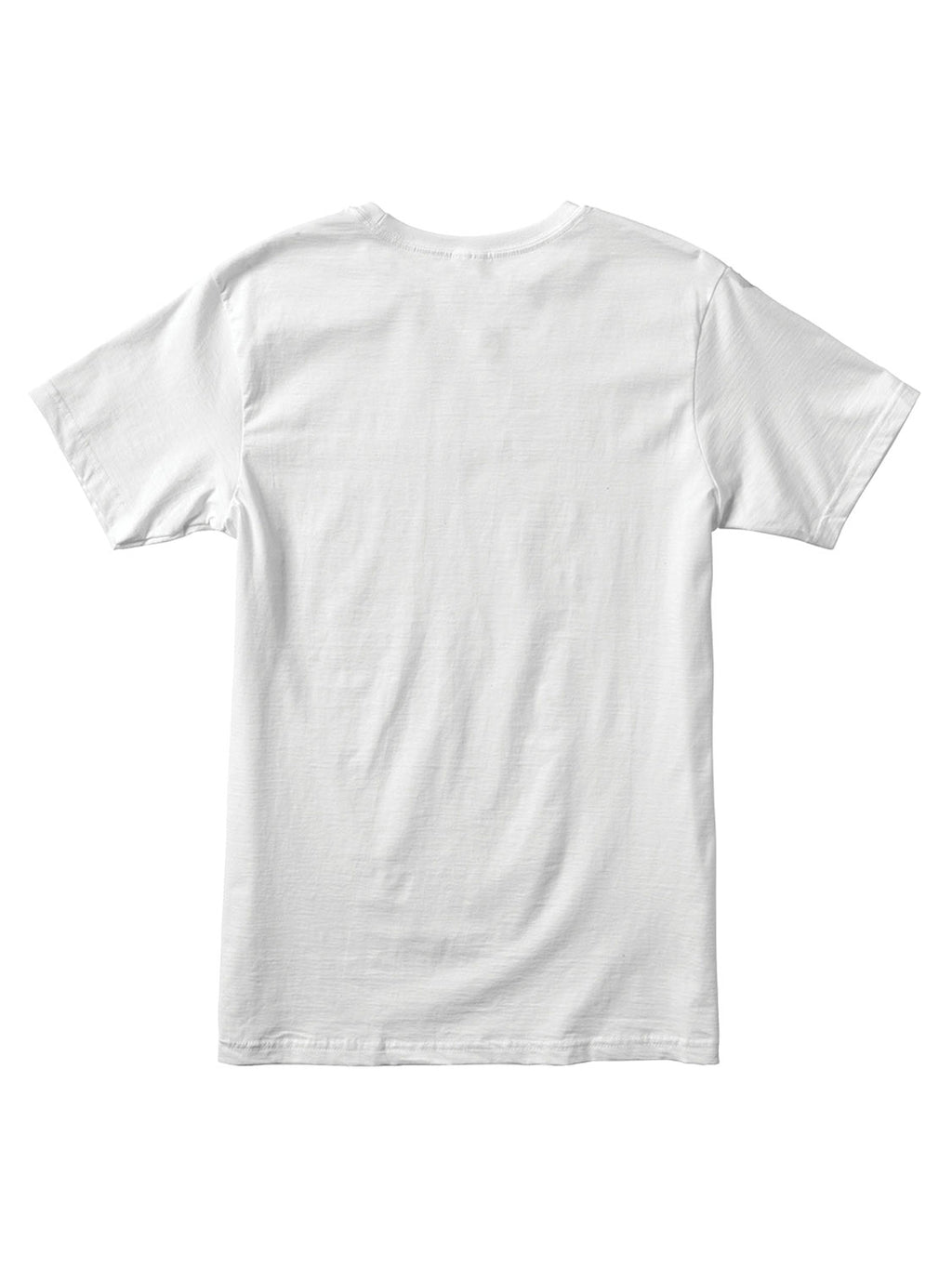 White short-sleeve t-shirt with a 'BIG RVCA' logo printed across the chest. Back View. 