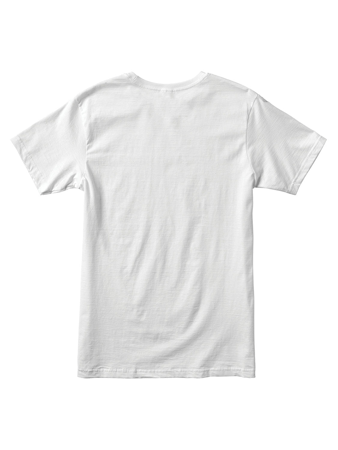 White short-sleeve t-shirt with a 'BIG RVCA' logo printed across the chest. Back View. 